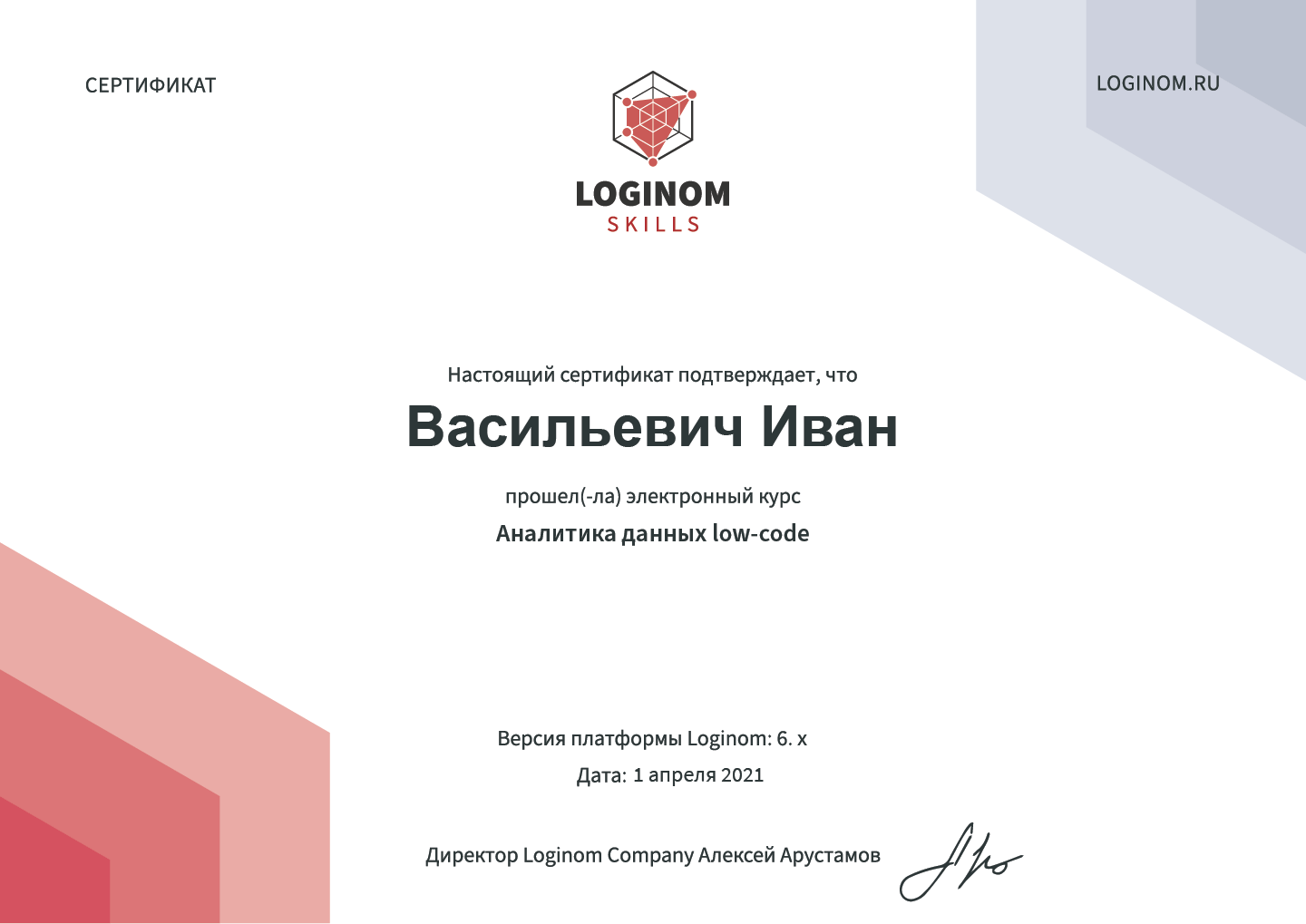 Пример сертификата Loginom Skills